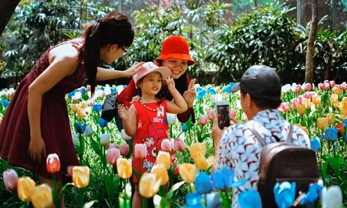 Sáng mồng 4 Tết, Thảo Cầm Viên Sài Gòn tiếp tục đón hơn nghìn lượt khách tham quan. Nhiều người chọn đây làm điểm vui chơi lý tưởng vì có nhiều cây xanh thoáng mát và quan cảnh đẹp. Tuy nhiên, vì số lượng kéo về lớn nên nhiều cảnh quan nhanh chóng bị phá nát, trong đó có vườn hoa tulip, hoa hồng…