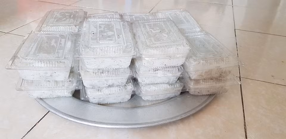 Do chỉ xuất hiện thời gian ngắn nên giá cá ngần không rẻ, từ 200.000 - 300.000 đồng/kg. Ảnh: FB Lan Nguyễn.