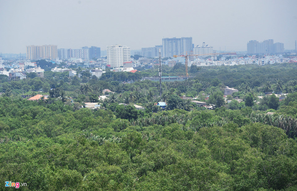 Cách khu đất của gia đình rapper Tiến Đạt khoảng vài chục mét là hàng trăm căn nhà thoắt ẩn thoắt hiện giữa những lùm cây cối um tùm trong dự án.