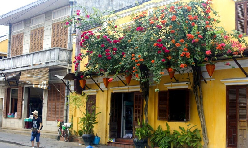 Kết hợp nhiều hoa giấy nhiều màu sắc như trắng, hồng, đỏ rực, tím giúp ngôi nhà thêm sống động. Ảnh: Dân Việt.