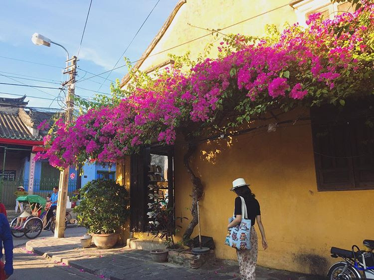 Thuộc loại cây dây leo, hoa giấy dễ trồng và không tốn quá nhiều công chăm sóc. Ảnh: @poppies_27.