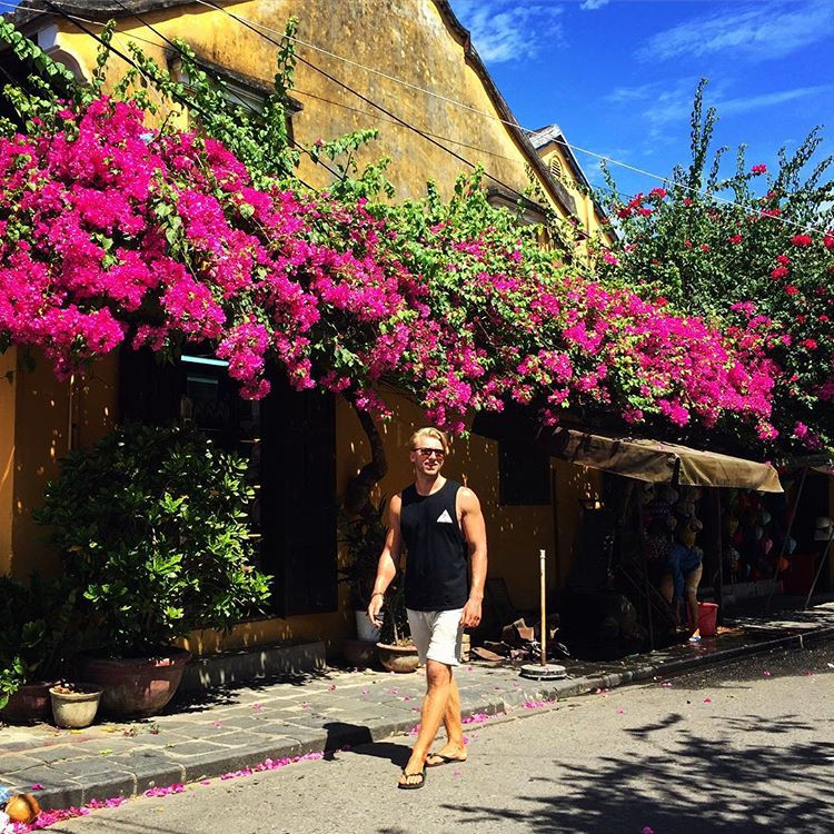 Hoa giấy nở thành những chùm lớn, có khi che hết cả lá nên trông rất bắt mắt. Ảnh: @maltelgc.