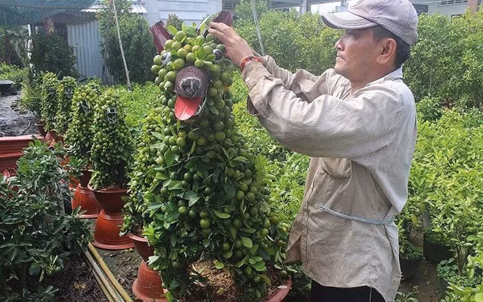 Nghệ nhân tại làng hoa cây cảnh Chợ Lách (Bến Tre) tung ra thị trường Tết quất cảnh hình chó lạ mắt. Ảnh: Plo.