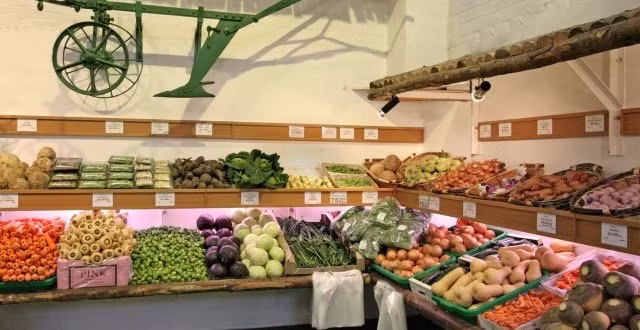 Ngay sau đó, rau quả được bày bán trên kệ hàng siêu thị, phục vụ khách. Ảnh: Singapore News Network.