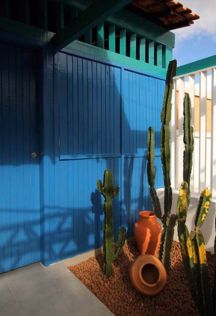 Sân nhỏ trồng xương rồng.