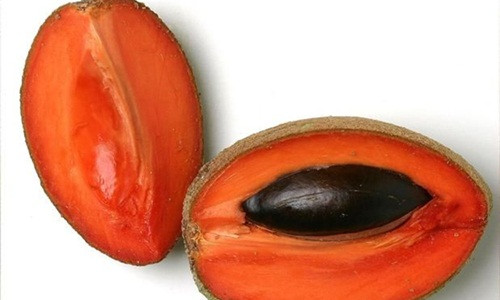 Đặc biệt, bên trong quả hồng xiêm có màu đỏ lạ mắt. Ảnh: Healthy100tips.