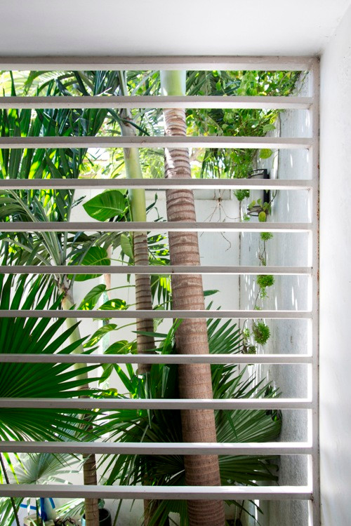 Khung cửa sổ trên tường giúp bên trong nhà phố luôn ngập sáng.