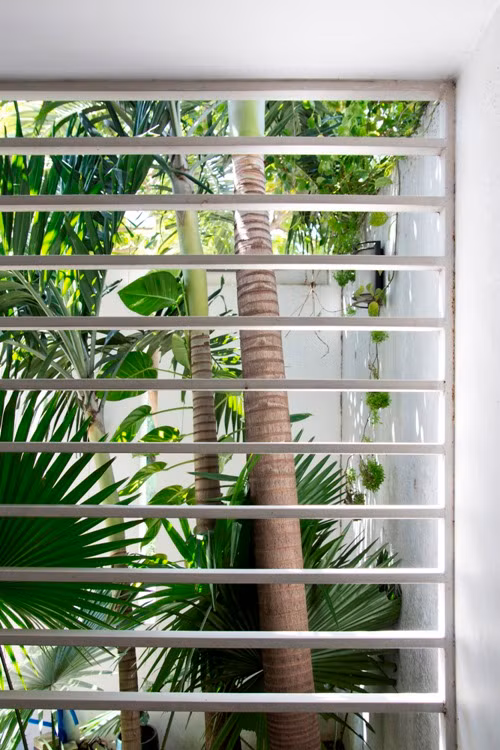 Khung cửa sổ trên tường giúp bên trong nhà phố luôn ngập sáng.