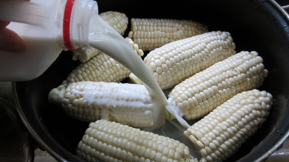 Luộc ngô bằng pin giúp người bán lãi cao. Ảnh minh họa: Youtube.