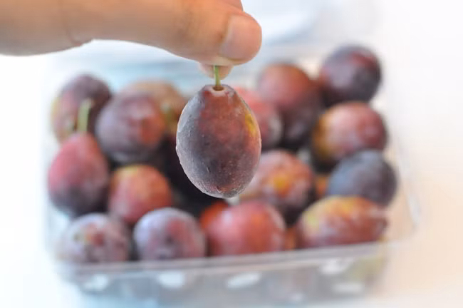 Mận nhót Úc ngọt, không chua thanh như mận Việt Nam. Ảnh: Fruitshop.