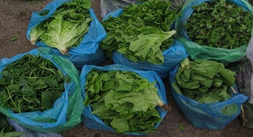 Tại một số tỉnh miền Trung, giá rau củ giảm mạnh khiến người dân chán nản. Ảnh: VOV.