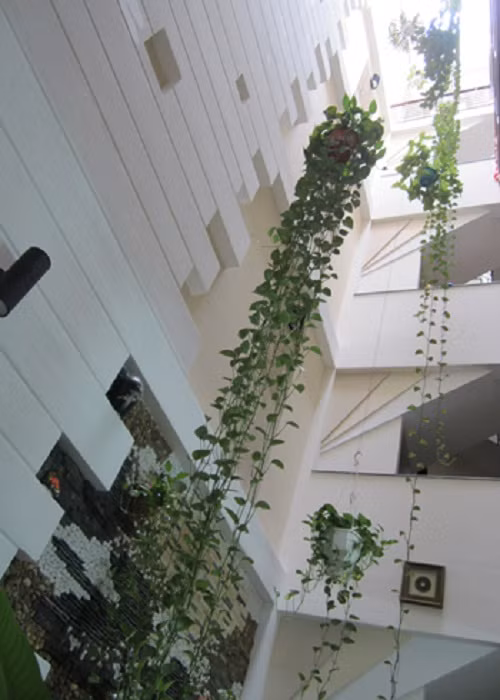 Không nên bố trí đèn chiếu sáng, đèn trang trí, cây cảnh ở khu vực giếng trời quá cao bởi nó sẽ khiến gia chủ gặp khó khăn trong quá trình bảo dưỡng, chăm sóc. Ảnh: Canhquanxanh.