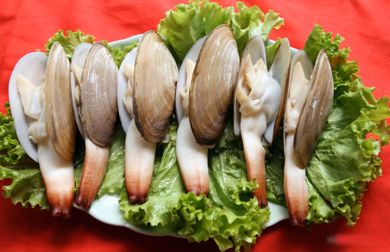 Tu hài Canada thường có giá 2 - 2,5 triệu/kg. Tuy nhiên, lúc trái vụ giá tu hài có thể lên đến 5 triệu/kg. Ảnh: Tunghaisan.