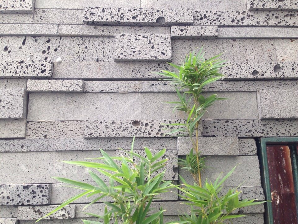 Đá ong còn được sản xuất dưới dạng đá ốp trang trí tạo điểm nhấn giúp không gian thoáng, đẹp hơn. Ảnh: Gachtheco.