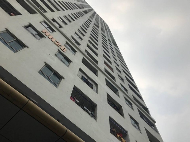 Nhiều người không biết con rắn trên từ đâu rơi xuống.