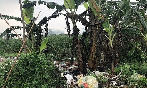 Hiện trường vụ án mạng