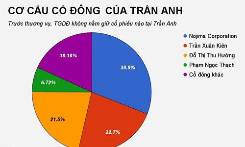 Cơ cấu cổ đông của Trần Anh trước khi Thế Giới Di Động vung tiền thâu tóm tại đây.