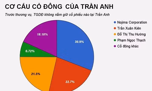 Cơ cấu cổ đông của Trần Anh trước khi Thế Giới Di Động vung tiền thâu tóm tại đây.