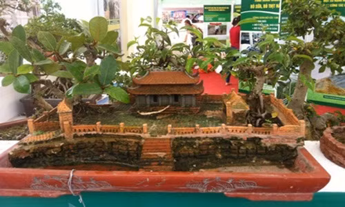 Những tiểu cảnh cây đa, bến nước, mái đình được nghệ nhân Minh cắt tỉa trong chậu bonsai. Ảnh: Vietnamnet.