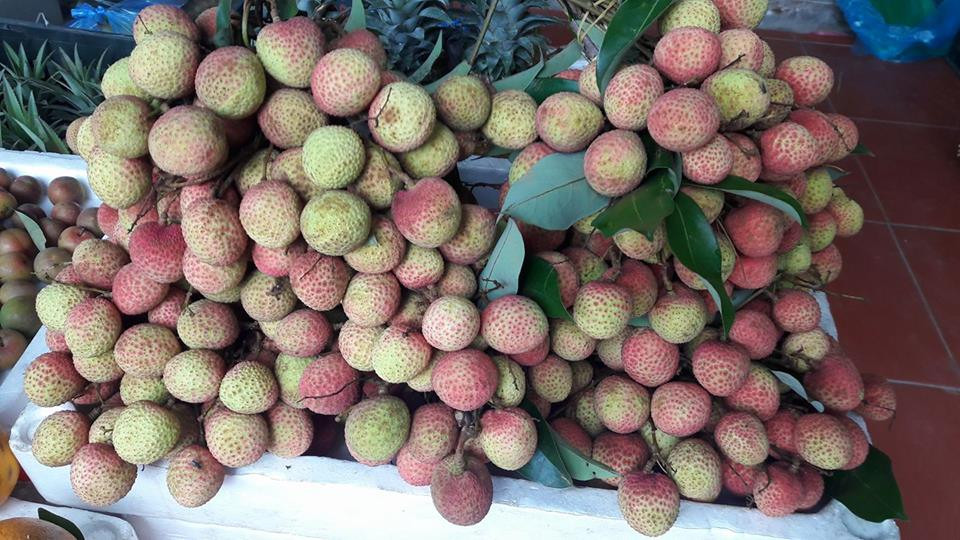 Trên thị trường, vải sớm Thanh Hà đang được rao bán với giá trung bình 50.000 đồng/kg. Ảnh: FB Hoa Le.