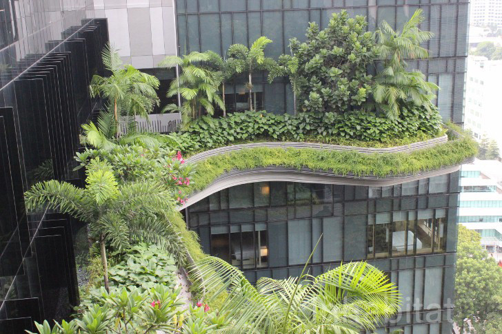 Cửa các phòng nghỉ đều được phủ đầy nhiều loại cây khác nhau, khiến khách ngỡ như lạc trong khu rừng.