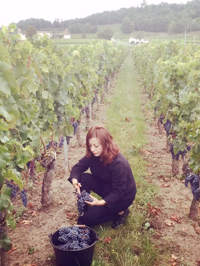 Vườn nho rộng hút mắt bên trong khu biệt thự.