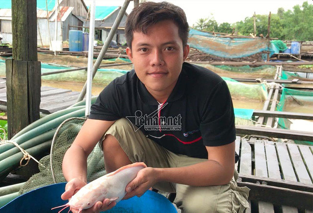 Đàn cá đẹp mắt của gia đình ông Bon thu hút đông đảo khách du lịch ghé thăm, trung bình 100 người/ngày. Ảnh: Vietnamnet.