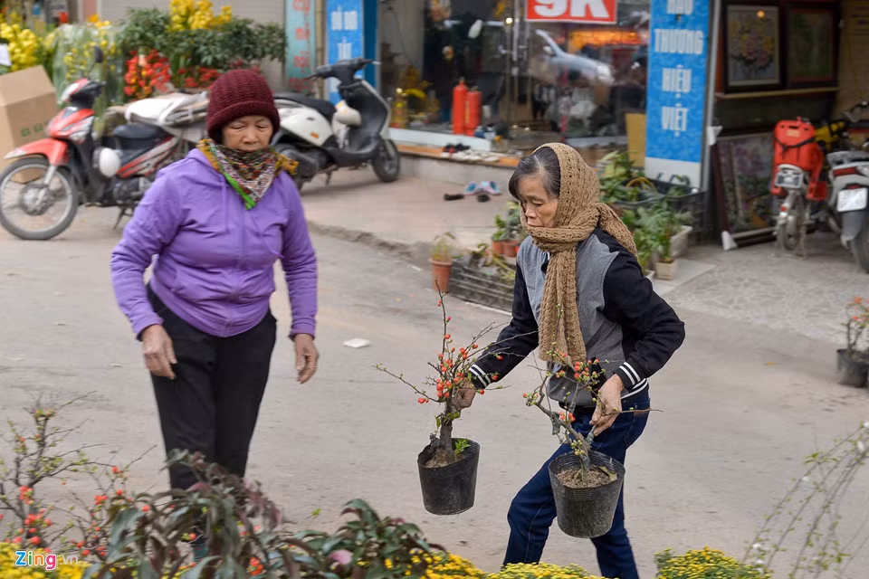 Nhiều tiểu thương cho biết phần lớn giá cả các loại hoa cảnh năm nay không có nhiều biến động so với năm ngoái.