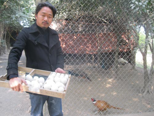 Xuất phát từ niềm đam mê, anh Giáp là một trong những người đầu tiên khởi xướng thú chơi chim, gà quý hiếm từ hơn 10 năm nay. Ảnh: Khám phá.