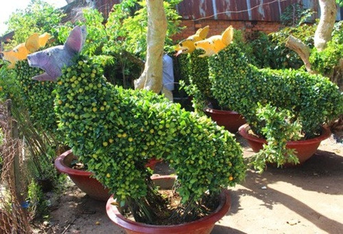 Việc tạo kiểng hình chó ở Chợ Lách đa dạng về hình dáng, kích thước, trang trí phụ kiện như: mắt, đầu, lỗ tai…Ảnh: Congan.