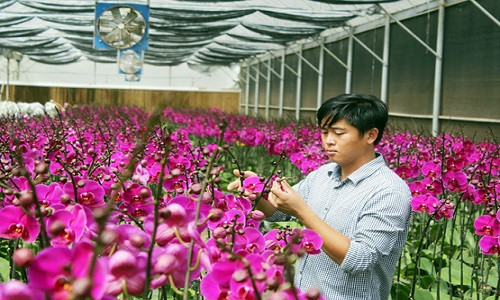 Từ vườn lan 20 m2, 100 m2, 500 m2, rồi 5.000 m2, đến nay anh Sang đã có trong tay 3 khu trang trại đầu tư hiện đại theo hướng nông nghiệp công nghệ cao với tổng diện tích hơn 10 ha, trị giá trên dưới 70 tỷ đồng. Ảnh: Giaoduc.