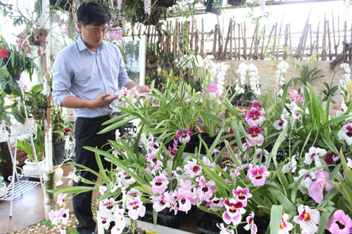 Anh Sang bắt đầu xây dựng thương hiệu cho vườn lan của mình từ khi còn là sinh viên năm 2 đại học. Ảnh: Dân Việt.