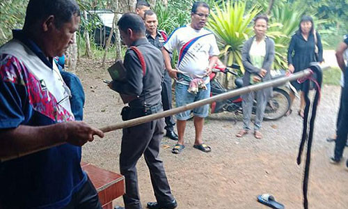 Đây là con rắn gây ra cái chết của cô bé 9 tuổi.