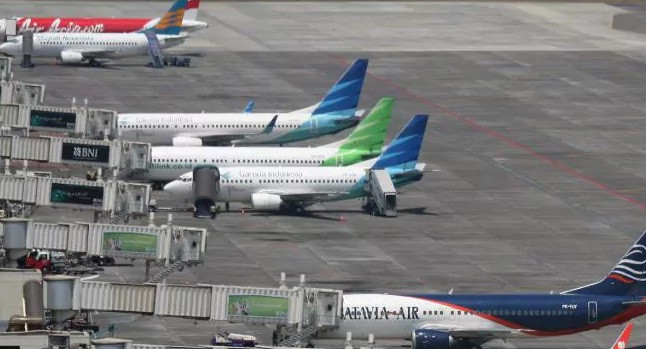 Tháng 1/2016, một chuyến bay dân dụng của hãng Garuda ở Indonesia bị hoãn 4 giờ chỉ vì một con ong. Ảnh: AP.