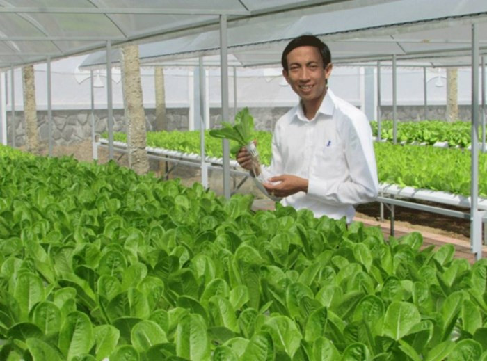 Sau khi trừ chi phí, mỗi năm anh Phong thu lãi 300 triệu đồng. Ảnh: Báo TNMT.