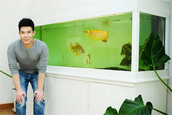 Dù không tiết lộ giá của chú cá vàng tên Goldie nhưng trên thị trường chú cá này có giá không dưới 10.000 USD. Ảnh: VTC.