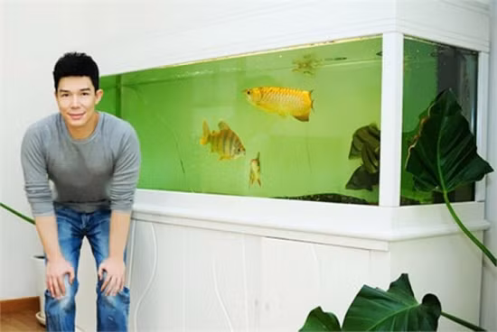 Dù không tiết lộ giá của chú cá vàng tên Goldie nhưng trên thị trường chú cá này có giá không dưới 10.000 USD. Ảnh: VTC.