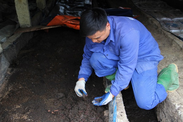 Ban đầu, anh Hồng mua một ít giống giun đem về khu vườn vài chục m2. Sau hơn 1 năm, Ngô Minh Hồng đã mở rộng mô hình lên 1.000m2. Ảnh: Dân Việt.