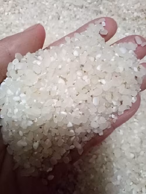 Sau khi ăn thử, không ít khách hàng thích thú bởi gạo nếp Lào dẻo, thơm và ngọt. Ảnh: FB Gạo nếp Cái Nọi Lào.