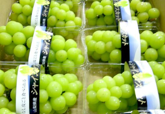 Trước khi đóng gói xuất khẩu, nho được kiểm tra bằng máy đo độ đường. Ảnh: Rakuten.