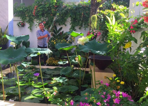 Xung quanh nhà có nhiều cây xanh. Ảnh: Người đưa tin.