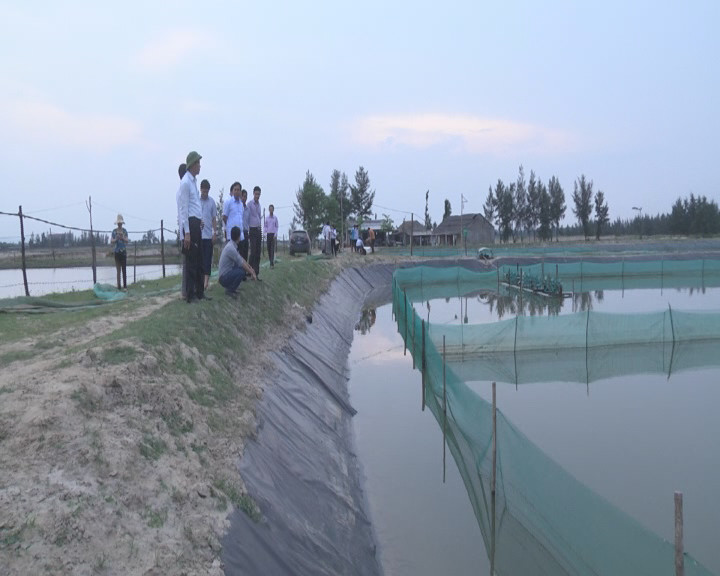 Tuy nhiên, hạn chế của mô hình này là chi phí đầu tư lớn, riêng tiền mua thức ăn (hàu, cua, cá) bình quân một ha đã hết 700 - 800 triệu đồng. Ảnh: Hatinh.