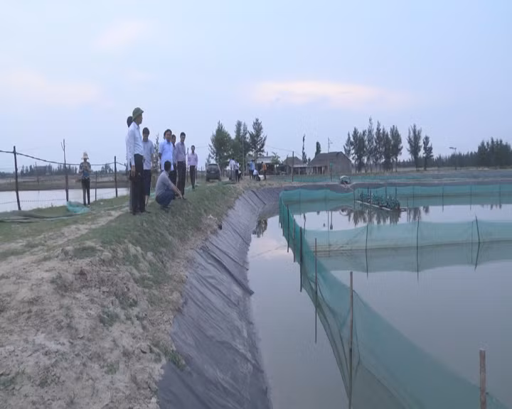 Tuy nhiên, hạn chế của mô hình này là chi phí đầu tư lớn, riêng tiền mua thức ăn (hàu, cua, cá) bình quân một ha đã hết 700 - 800 triệu đồng. Ảnh: Hatinh.