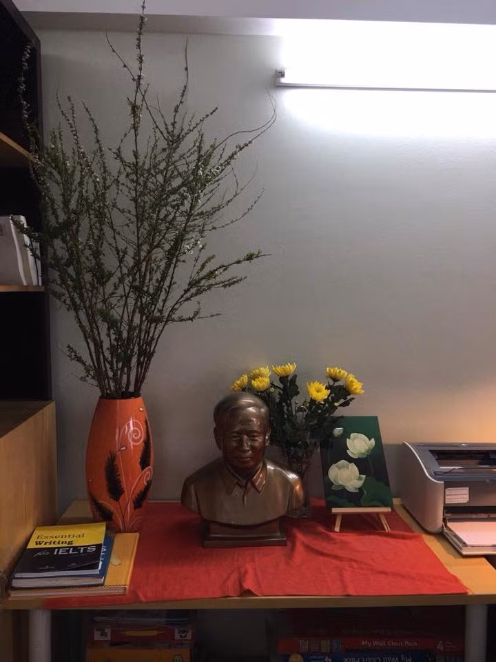 Hoa tuyết mai có thể cắm cùng một số loại hoa khác như hoa thanh liễu, tầm xuân...Ảnh: Shop Hoa Cát Tường.