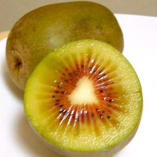 Cùng với xoài đỏ trứng mặt trời, dâu tây bạch tuyết...kiwi cầu vồng trở thành hoa quả quý tộc chỉ dành cho giới nhà giàu Việt. Ảnh: Rakuten.