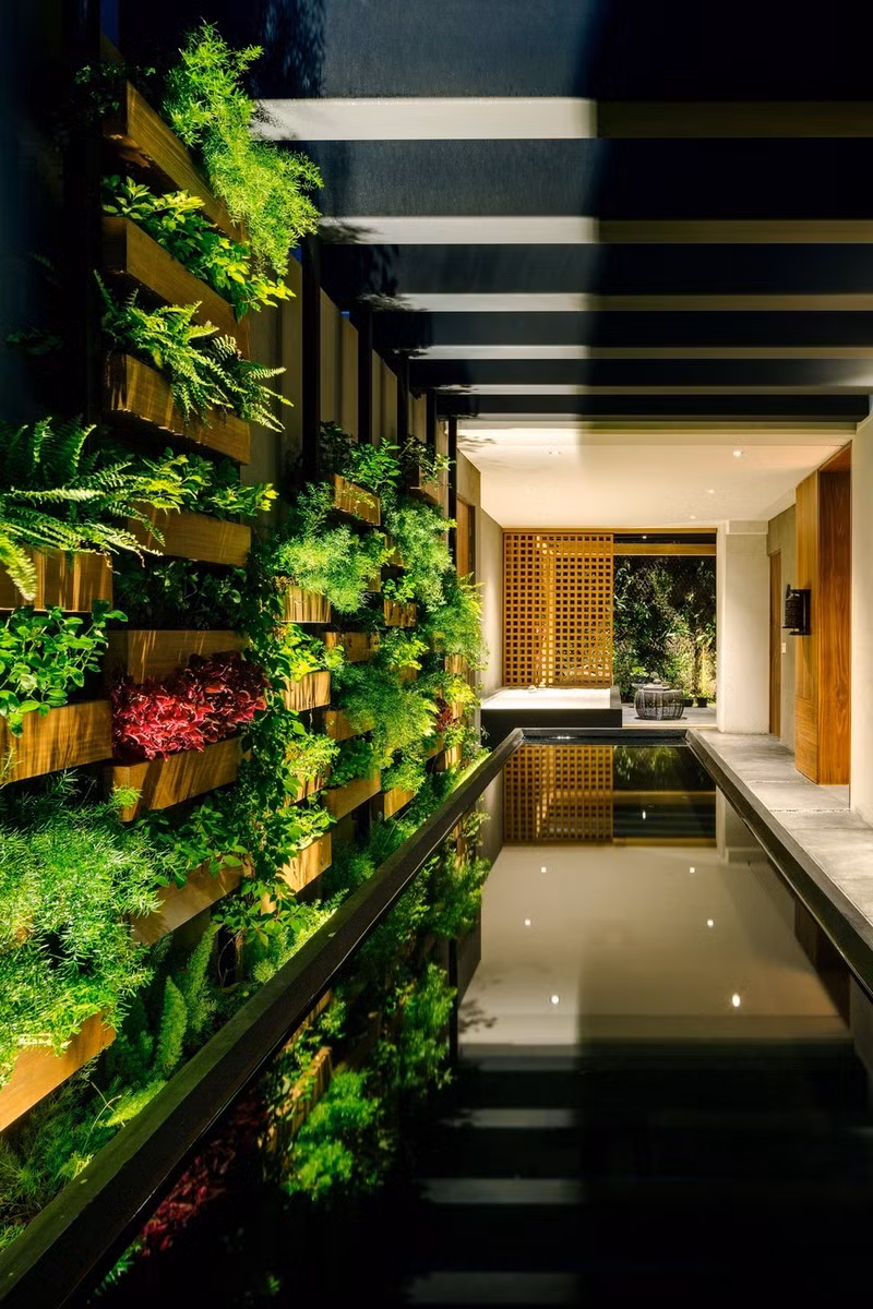 Không chỉ vậy, bức tường còn đóng vai trò tạo không khí trong lành cho căn hộ thiết kế mở.