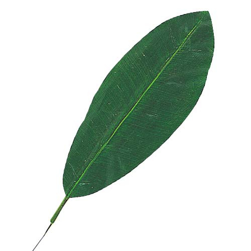 Những chiếc lá chuối này chủ yếu phục vụ cho du học sinh và người Việt sống tại Nhật Bản muốn gói bánh chưng theo truyền thống. Ảnh: Awataguchi-zouka.