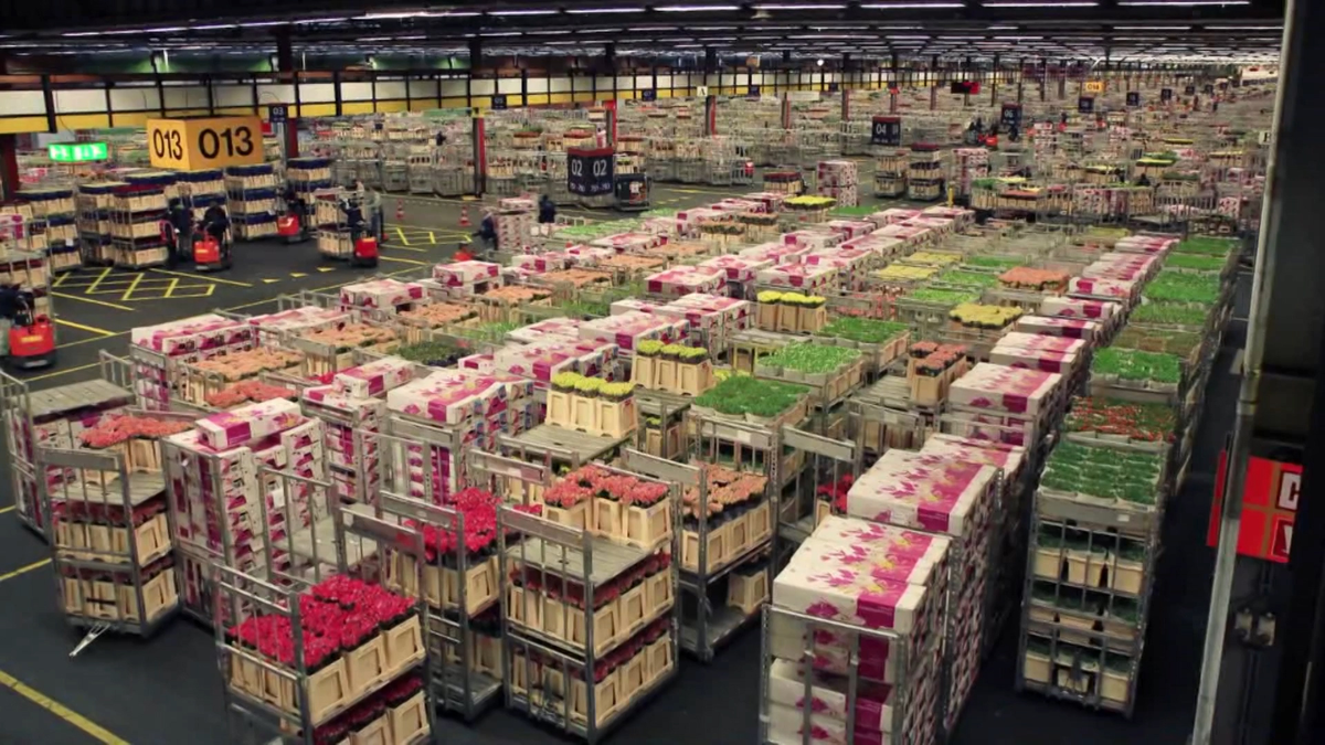 20 triệu cành hoa được bán ra mỗi ngày sẽ lên đường đi tiêu thụ đến toàn Trung Quốc và xa hơn nữa. Nguồn ảnh: News.