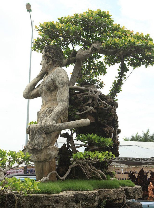 Cây si đá già được báo giá hơn 4 tỷ đồng. Ảnh: Dân Việt.