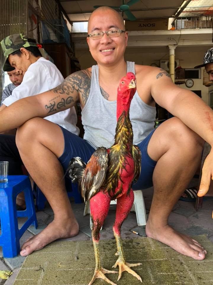 Gần 30 tuổi nhưng cho đến nay, chàng trai trẻ 9X đã có hơn 20 năm gắn bó với chú gà chọi. Ảnh: FB Nguyễn Hoài Nam.